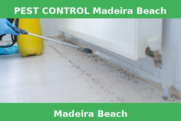 PEST CONTROL Madeira Beach